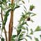 6ft. Potted Artificial Olive Tree with Natural Trunk